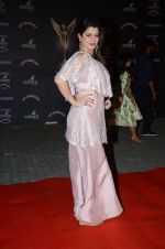 Kainaat Arora at the red carpet of Stardust awards on 21st Dec 2015